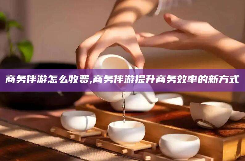 焦作商务伴游怎么收费,商务伴游提升商务效率的新方式